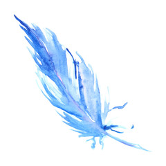 Watercolor blue cyan bird rustic feather isolated