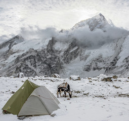 Tourist tents in Gorak Shep village against sun halo after snowstorm - Nepal, Himalayas