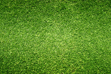 Obraz premium grass background Golf Courses green lawn