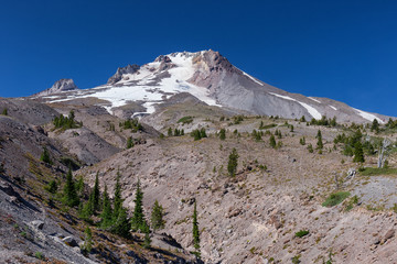 Fototapeta na wymiar Mount Hood, Oregon