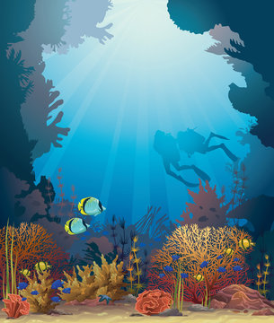 Coral reef and scuba divers.
