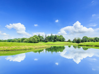 Obraz na płótnie Canvas green grass and pond under the blue sky