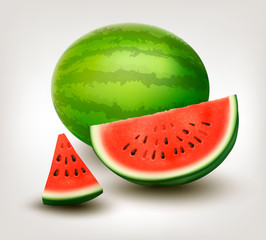 Watermelon. Vector