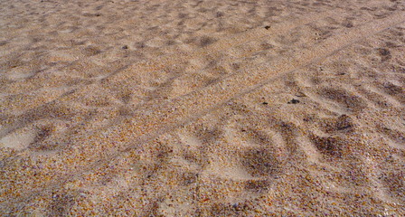 beautiful Sand,New Zealand