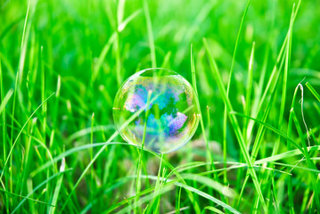 Soap bubble in the green grass