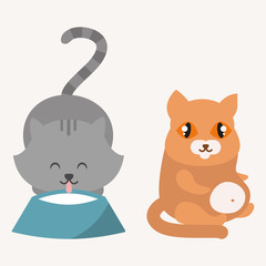 Cute cats character different pose funny animal domestic kitten vector illustration.