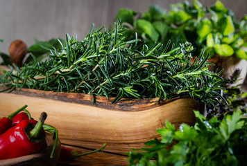 Rosemary in olive wooden bowl