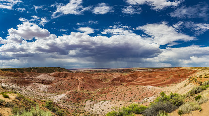 Fototapeta na wymiar wide view of the painted desert