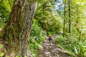 Boy walking along forest path in the river gorge 