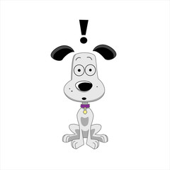 Black and white dog surprised