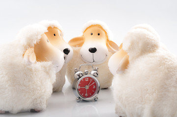 Bedtime ritual and sleep disorder concept with toy sheep circling around an alarm clock isolated on white background. It is said that counting sheep can help with insomnia and speed up falling asleep