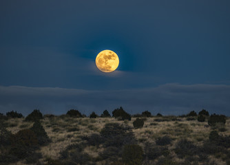 Full moon rising over the desert 