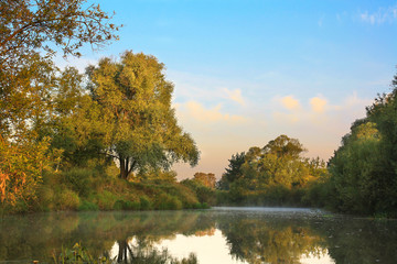 Fototapeta premium summer rural landscape with river