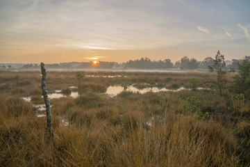 Moorland by sunrise with flare