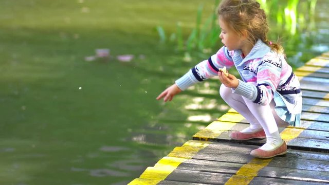 Little Girl is Feeding a Birds. Slow Motion