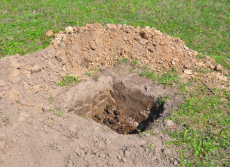 Tree organic fertilization Compost in digging hole. Organic fertilizer for tree planting. Tutorial.