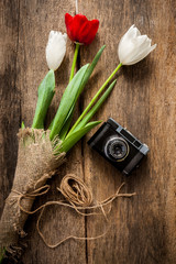 Camera and tulips