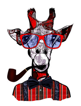 Giraffe with sunglasses in hipster style