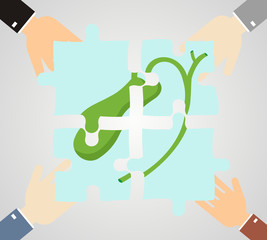 Obraz premium Healthcare concept. Hands hold pieces puzzle of gallbladder.