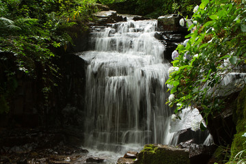 Fototapeta na wymiar Waterfall Hogsback