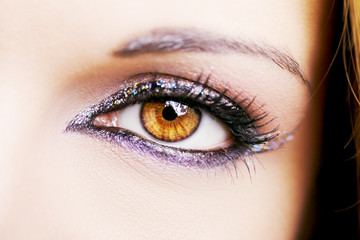 Fototapeta premium Eye Makeup. Beautiful Eyes Glitter Make-up. Holiday Makeup detail.