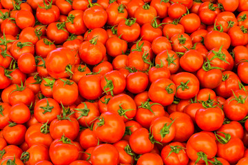 group of red tomatoes