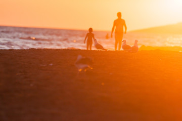 People and birds on the beach