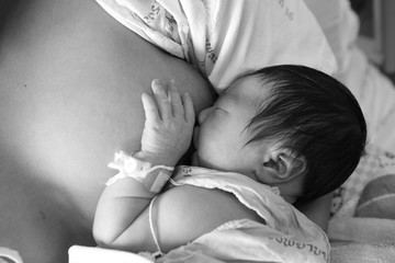 infant baby girl is suckling, black and white © zilvergolf