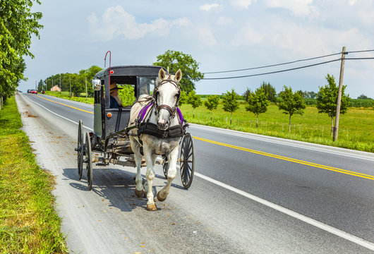 A horse pulling a cart across a beautiful Saskatchewan landscape