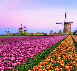 Zelfklevend Fotobehang Magische fee fascinerend landschap met windmolens middelste tulpenveld in Kinderdijk, Nederland, Europa bij dageraad. (Meditatie, antistress, Harmonie - concept) © anko_ter