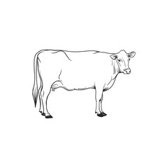 cow line art