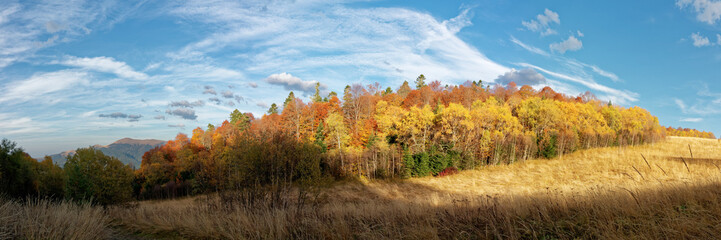Fototapeta premium Autumn subalpine landscape with colorful groves and clouds at sunset. Caucasus. Russia. The Caucasian reserve. Pasture Abago