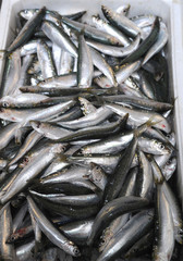 Obraz premium Fischverkauf Markthalle