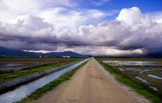 View of Deltebre in Catalonia.Spain