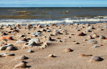 Fototapeta na wymiar Baltic sea.