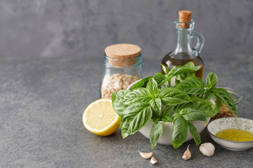 Pesto sauce ingredients: basil leaves, lemon, pine nuts, garlic and olive oil