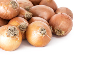 Onions isolated on white background