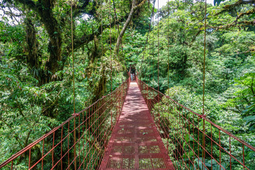 Naklejka premium Suspended Bridge at Monteverde Cloud Forest, Costa Rica