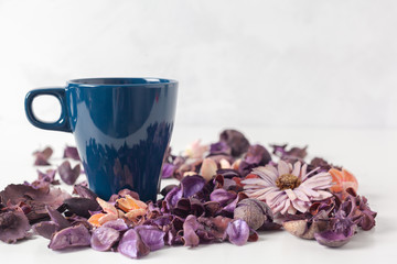 Delicate morning tea table setting
