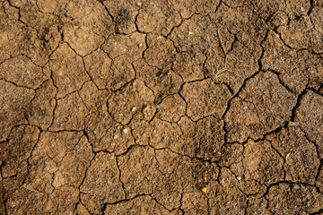 Dry soil texture for background