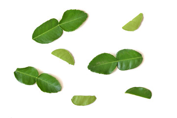 Kaffir lime leaves on white background - isolated