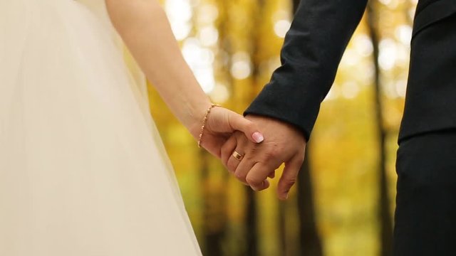Wedding couple holding hands while walking in the autmn park. slow motion