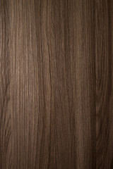 Texture of dark wood with rough edges. The background for the work.