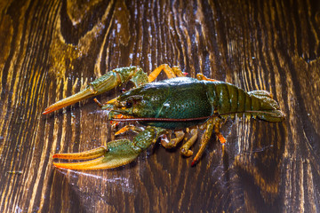 Live crawfish on a wooden board