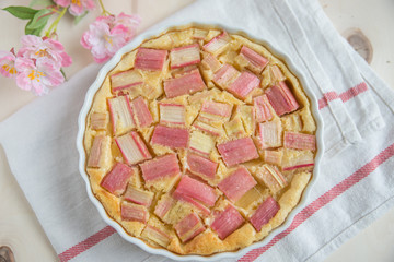 Rhabarber Kuchen 