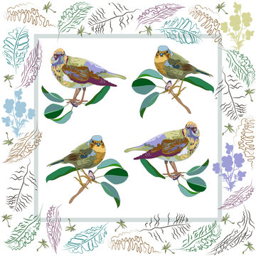 Birds in frame. European robin and thrush. Abstract leaves and flowers.