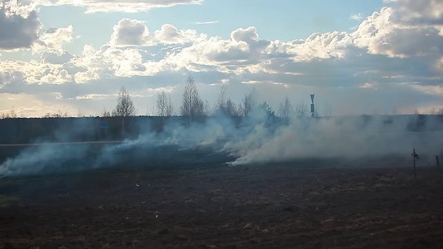 Smoke of a burning field