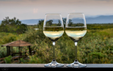 Kieliszki białego wina postawione na tarasie z zielenią w tle