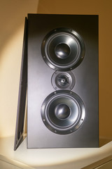 Loudspeaker in the interior