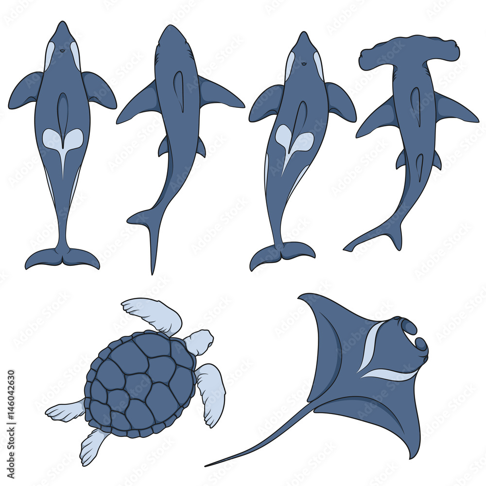 Poster set of images with marine animals. vector color isolated objects on white background.